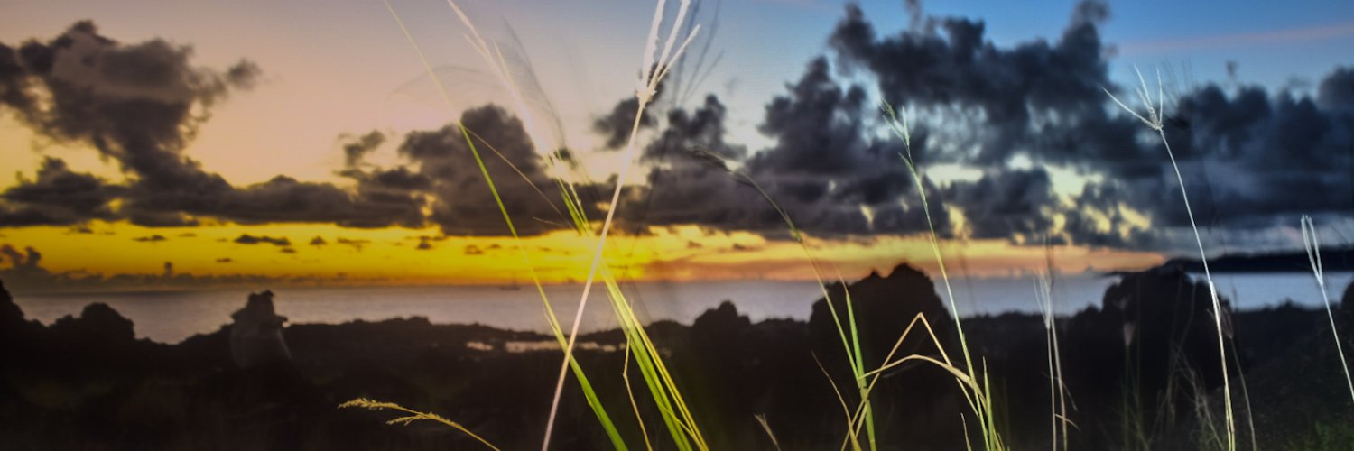 Lekry_R's profile banner image