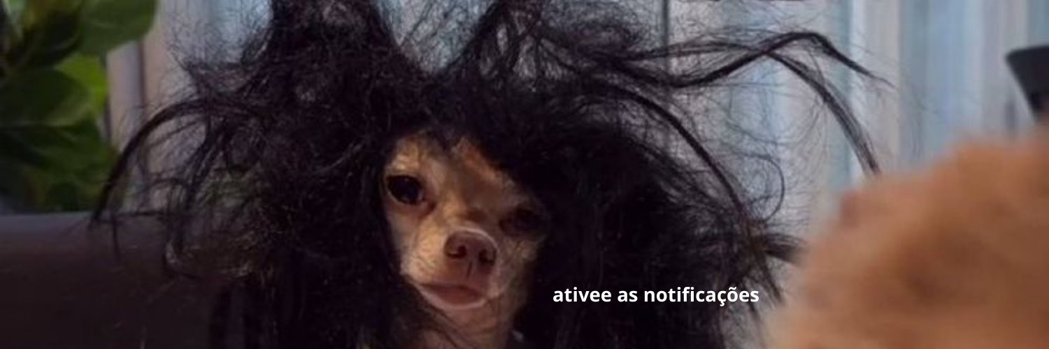 memes para relaxar e sobreviver banner