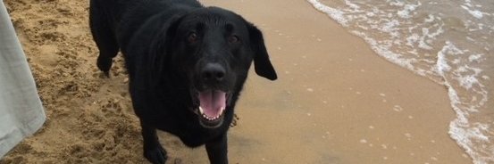 KayJohnsonSmith's profile banner image