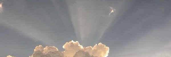 lilybilysily Profile Banner