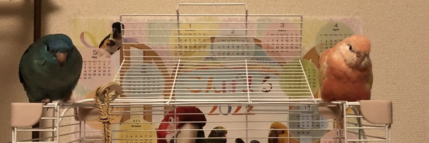 ymi62510's profile banner image