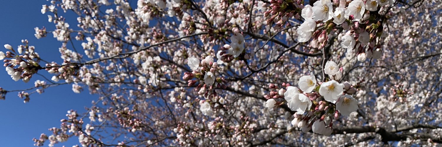 Neuro Grad Jobs banner