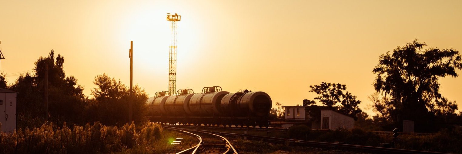 Research Group on the Russian Environment banner