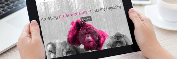 Design365_Bruce Profile Banner