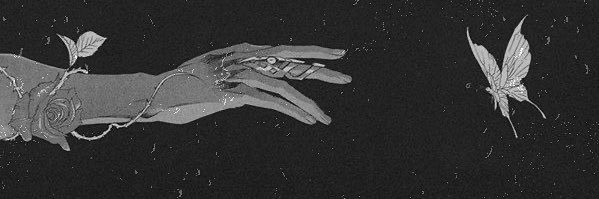 🖤 banner