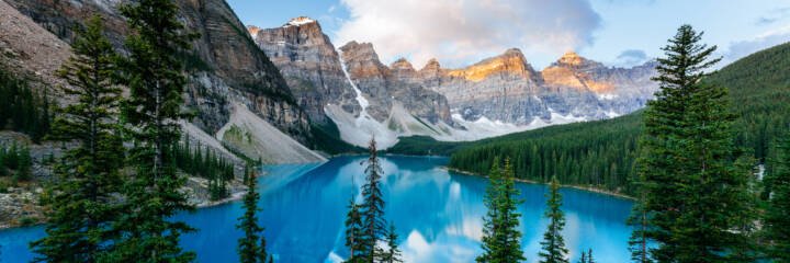 Jeanette Halborg banner