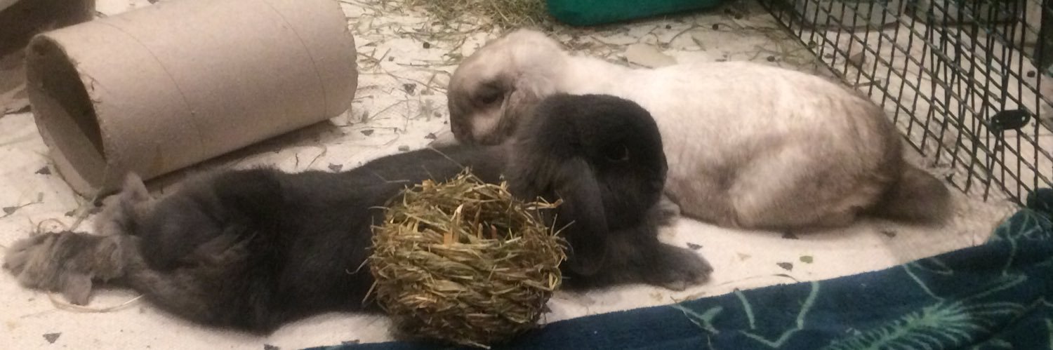 Rodrigo Rivera banner