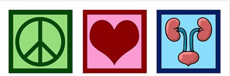 Yasmin Brahmbhatt MD, FASN banner