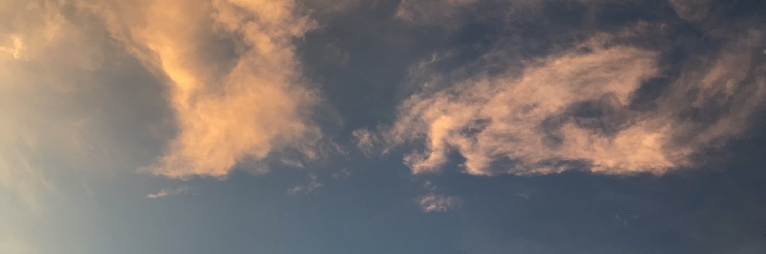 🖤 banner