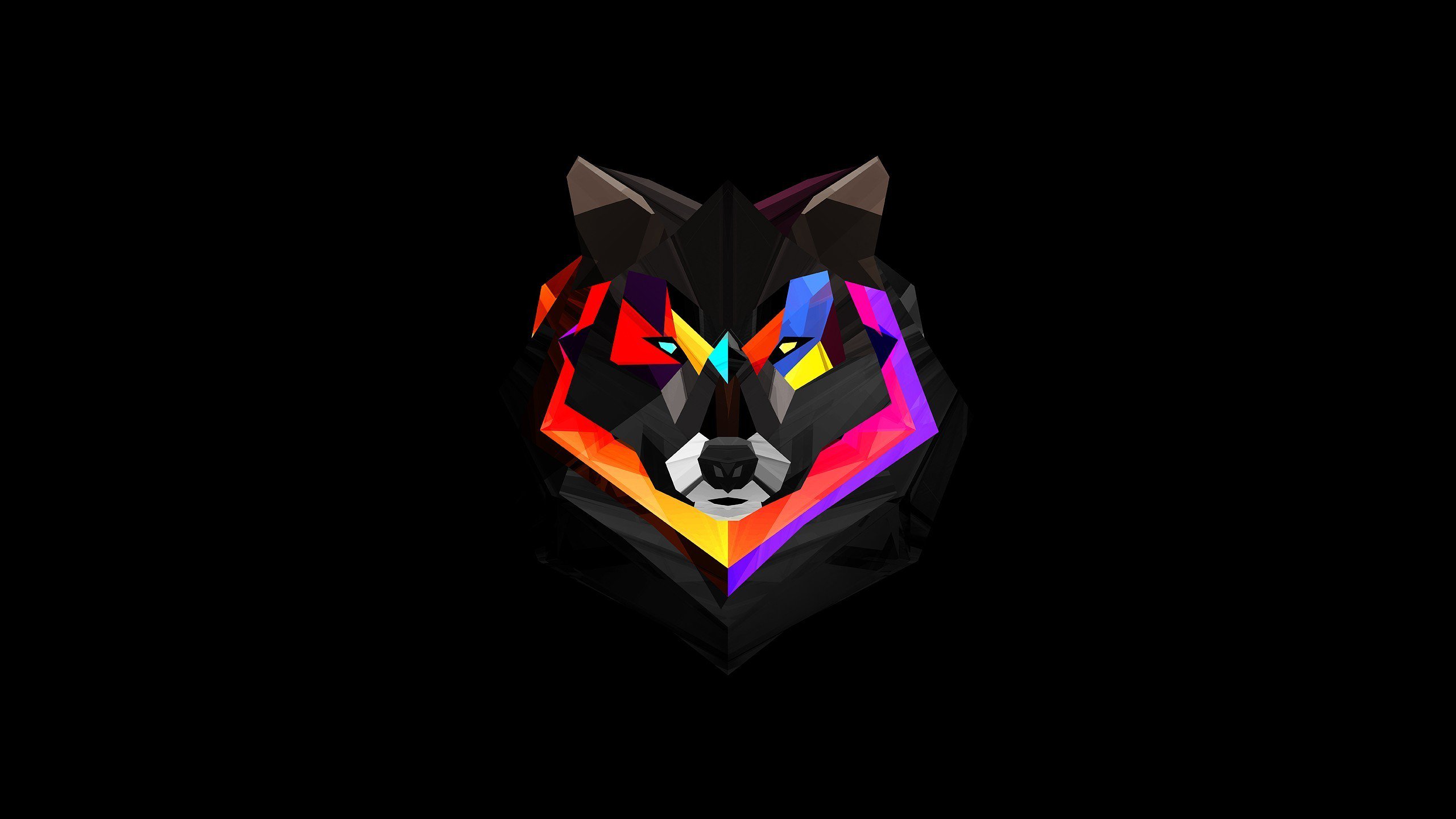 hansbash's profile banner image