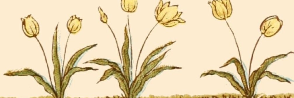AestheticCl0ud's profile banner image