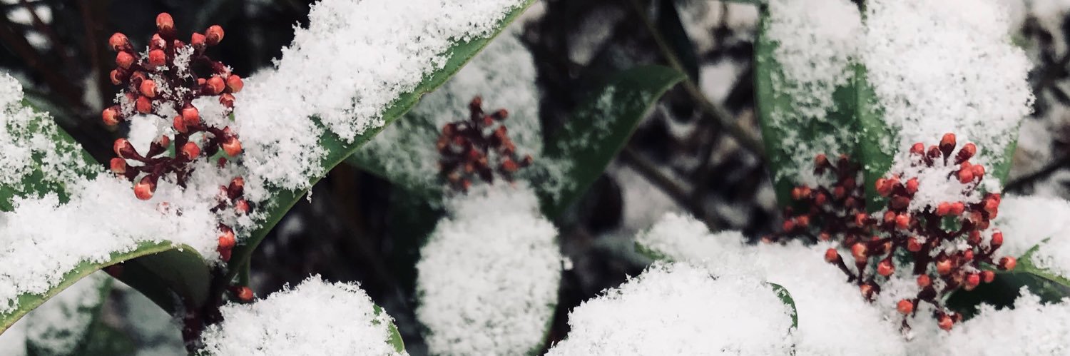 xxemmacaroline's profile banner image