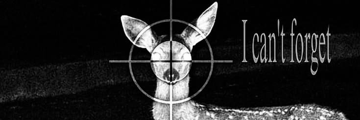 supwerz's profile banner image