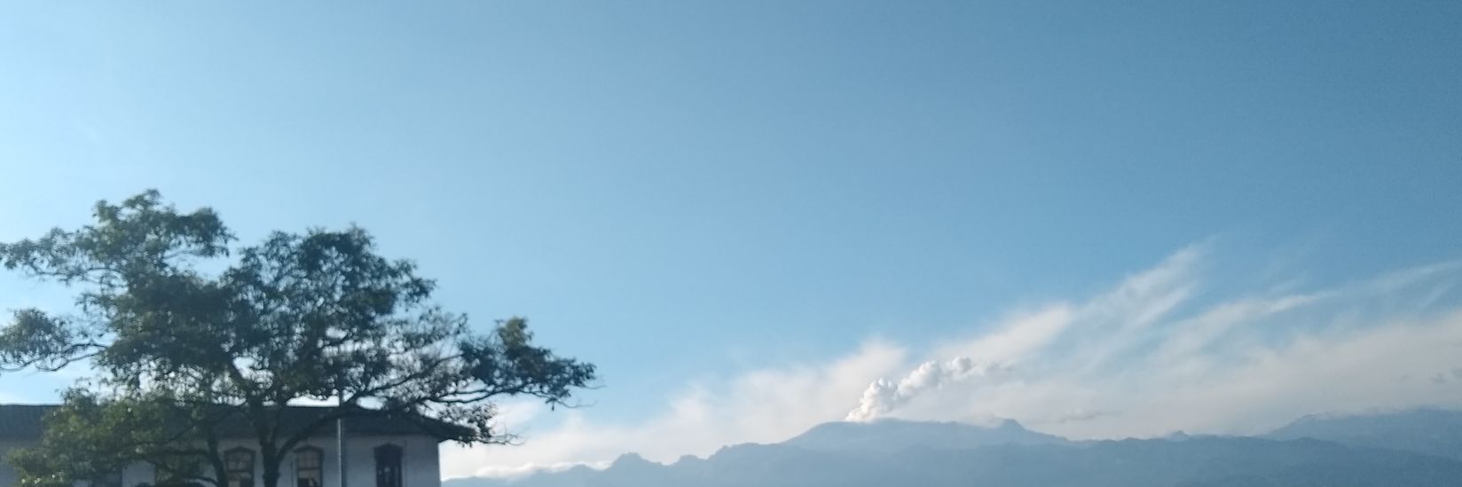 San Antoñita Serna banner