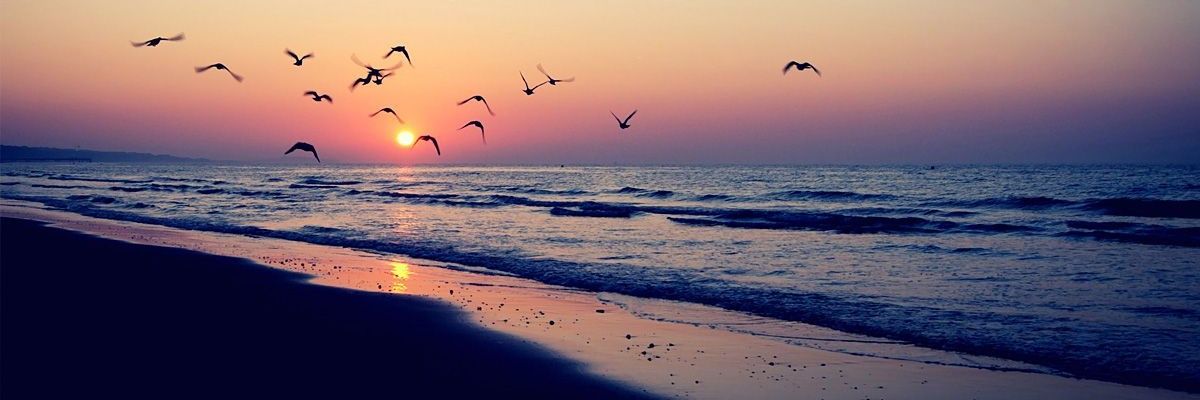 rajakumar_itis's profile banner image