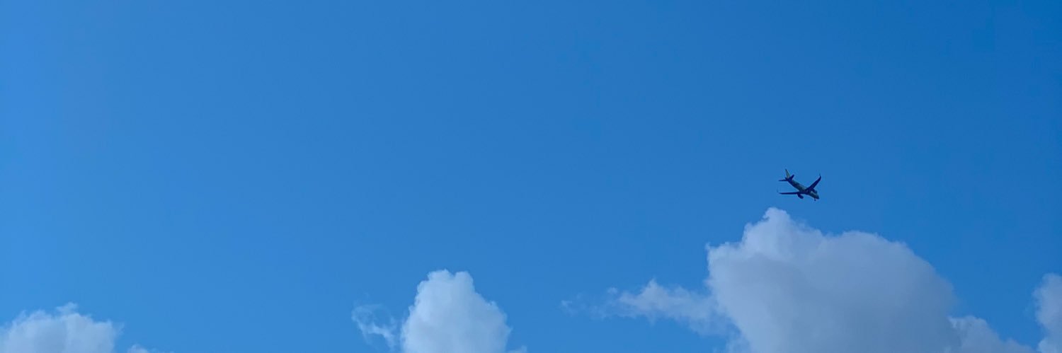 ailenitee's profile banner image