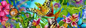 triani721's profile banner image