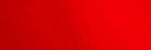 AldoWeynhard's profile banner image