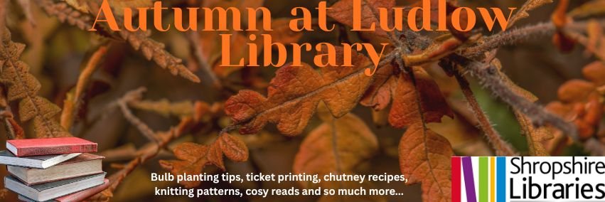 LudlowLibrary's profile banner image