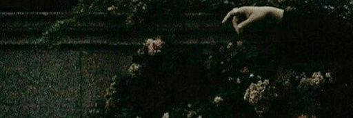 SugarPoisonous's profile banner image
