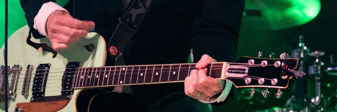 Doctor Monkey 🐵 banner