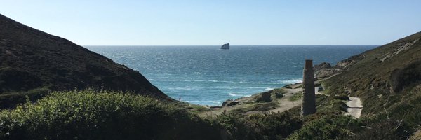 MichelePateman Profile Banner