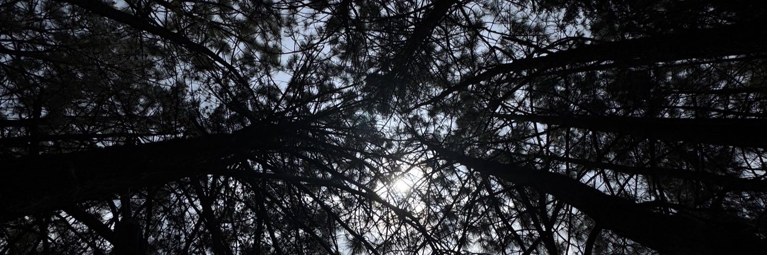 barruetarmando's profile banner image