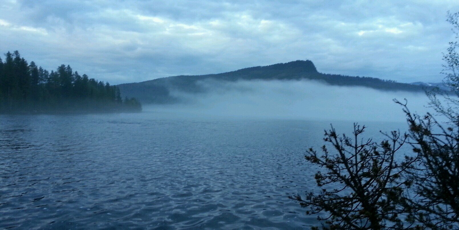 Thor Inge Jonsdal banner