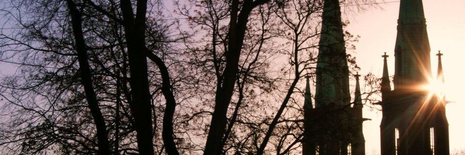 MrsMonti's profile banner image