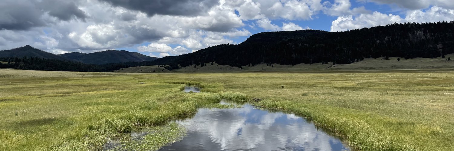 Ms. N. Hardin banner