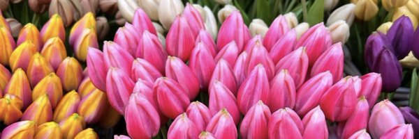 matycla Profile Banner