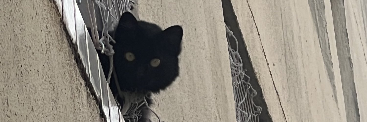 itsvinicria's profile banner image