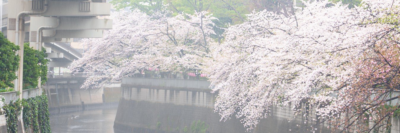 wata2896_ptr's profile banner image