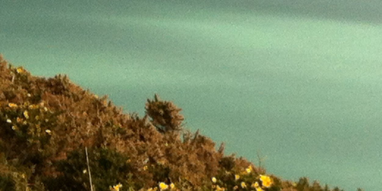 Catherine Foley banner