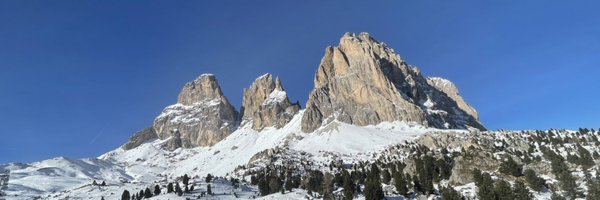 PaolaLaurino Profile Banner