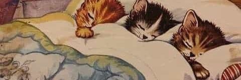 biggest victim on earth banner