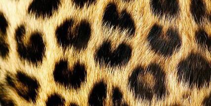 MissStooker's profile banner image