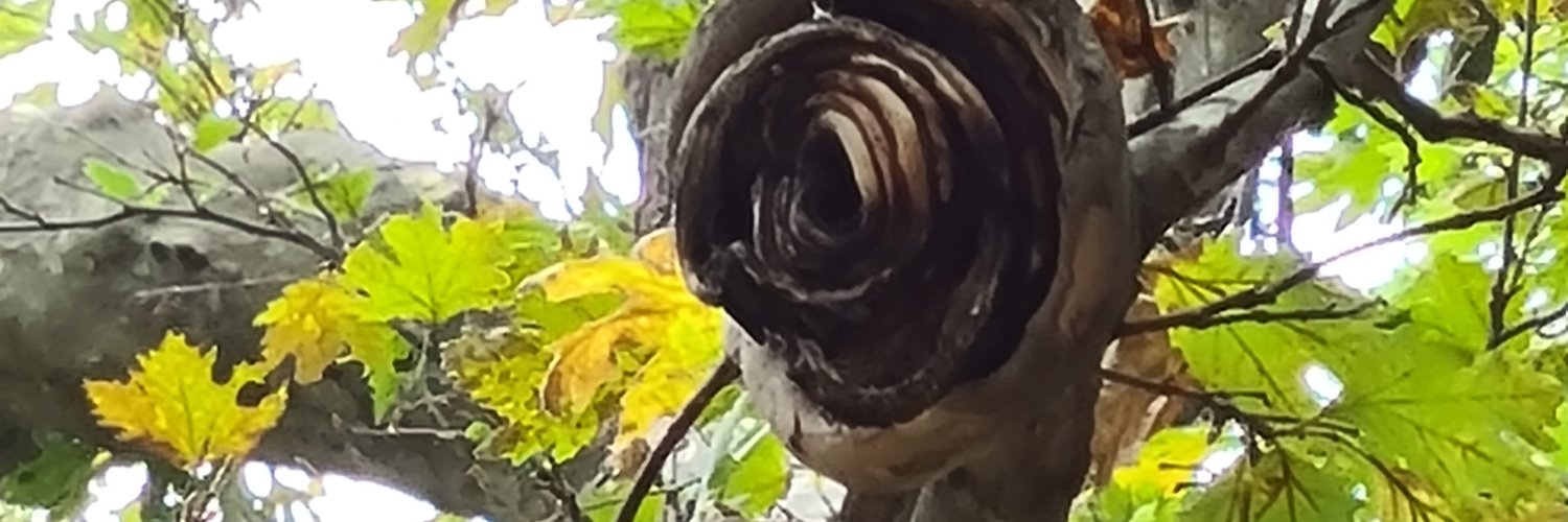 yalcin67's profile banner image