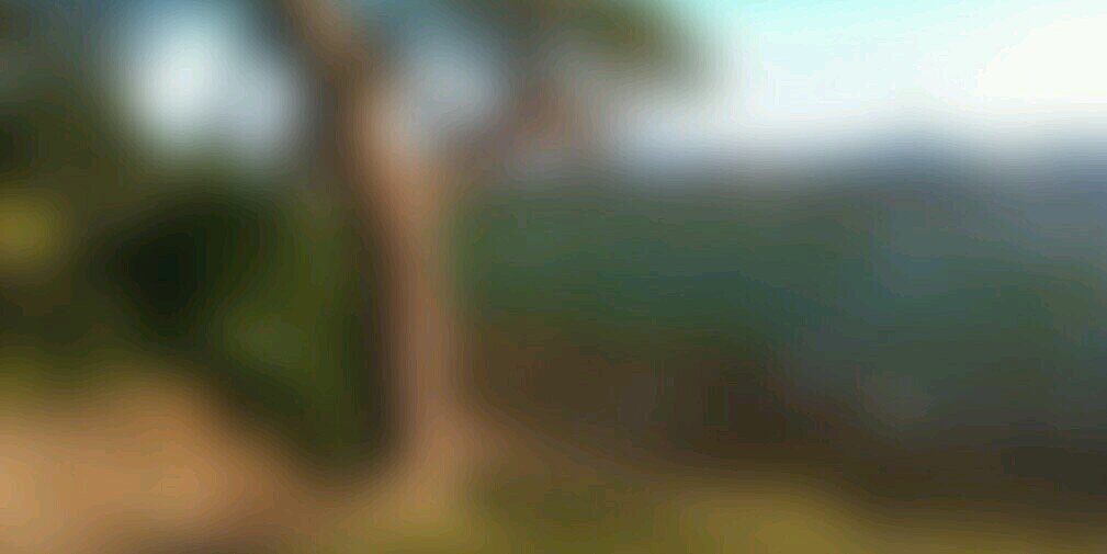 pierslowbridge's profile banner image
