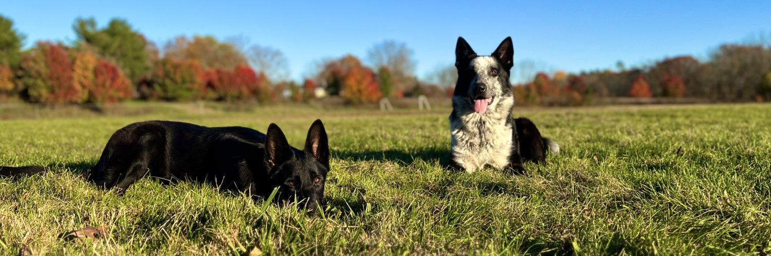 i luv ur mommy banner