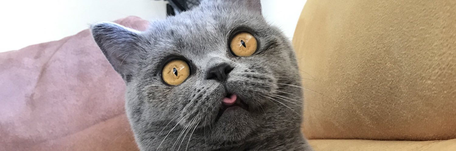gencatayiz's profile banner image