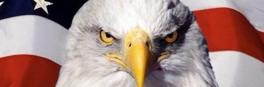 DLewisSmith's profile banner image