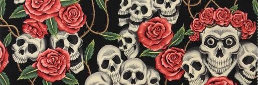 ainnhoags's profile banner image