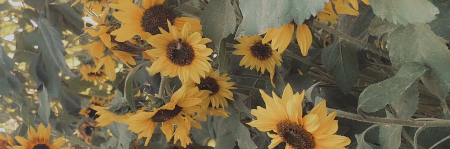 MoonFlower_Bri's profile banner image