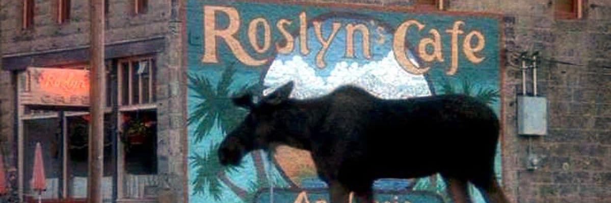 ocsmad's profile banner image