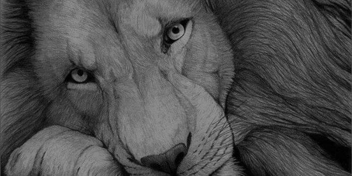 ALEXV685's profile banner image