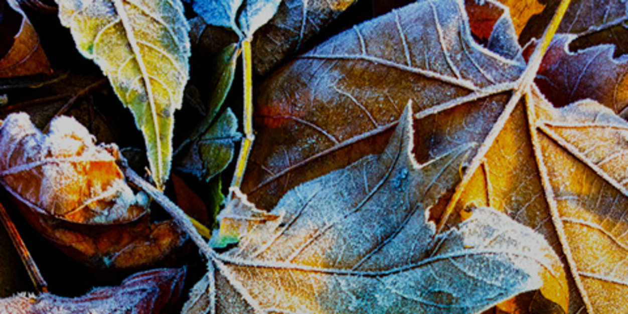 Gabriele Ruggero 🇪🇺 banner