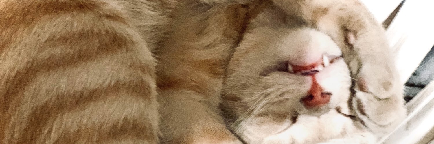 AbrilMisael's profile banner image