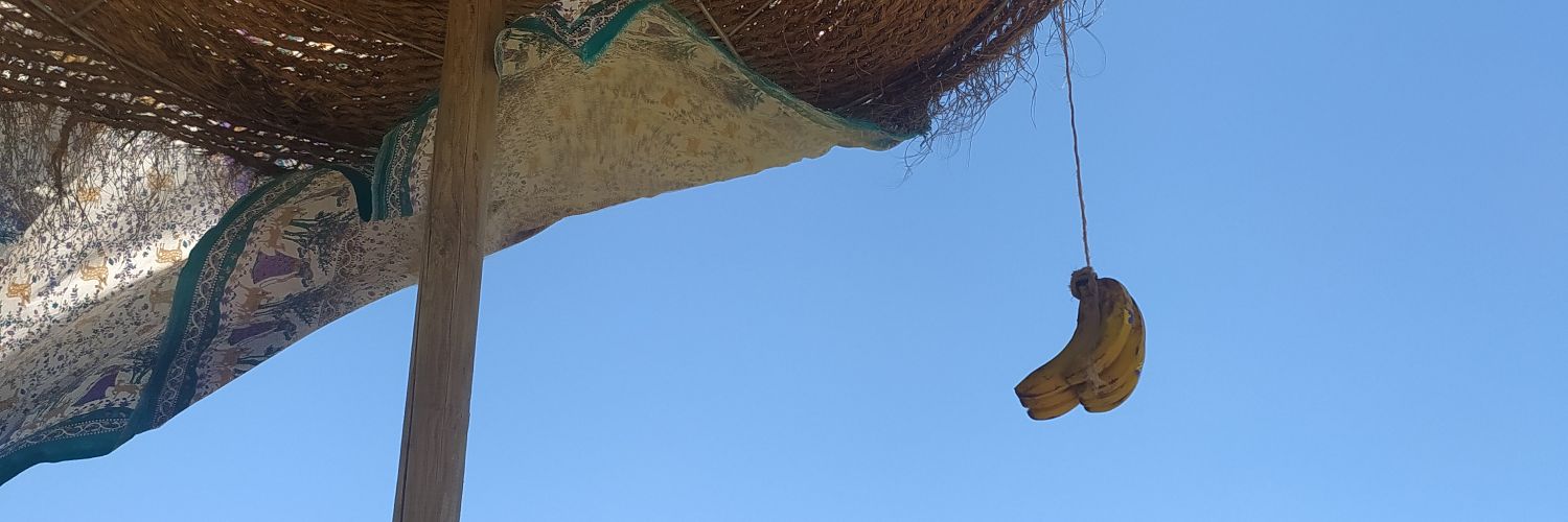 a_excluid's profile banner image