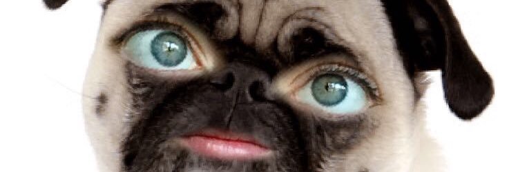vanessadevineee's profile banner image